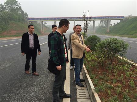 岷東大道東坡段5.8公里道路隔離帶綠化工程順利驗收(圖3)